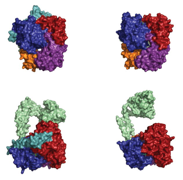 publication illustration